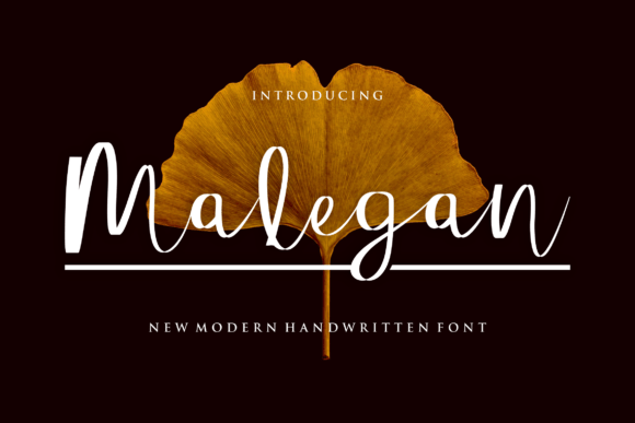 Malegan: A Script Font for Elegant Design